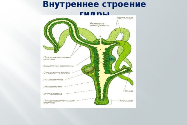 Ссылка на кракен в тор