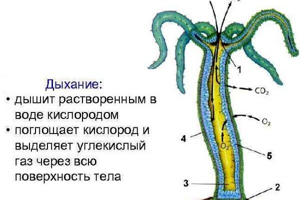 Кракен ссылки тор рабочая